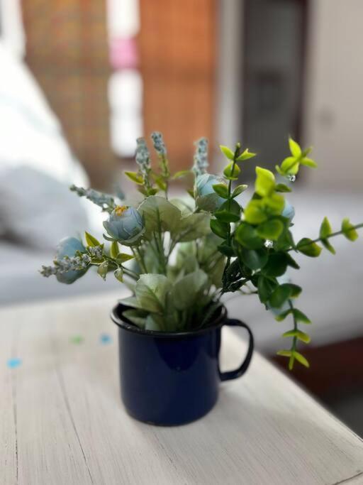 Casa Pouso Dos Colibris Em Araquari Kültér fotó